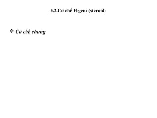 5.2.Cơ chế H-gen: (steroid) 
Cơ chế chung 
 