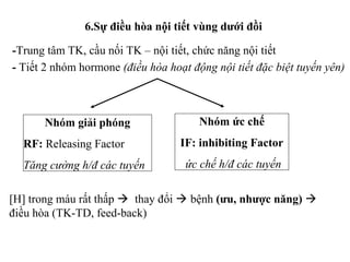 6.Sự điều hòa nội tiết vùng dưới đồi 
-Trung tâm TK, cầu nối TK – nội tiết, chức năng nội tiết 
- Tiết 2 nhóm hormone (điều hòa hoạt động nội tiết đặc biệt tuyến yên) 
Nhóm giải phóng 
RF: Releasing Factor 
Tăng cường h/đ các tuyến 
Nhóm ức chế 
IF: inhibiting Factor 
ức chế h/đ các tuyến 
[H] trong máu rất thấp  thay đổi  bệnh (ưu, nhược năng)  
điều hòa (TK-TD, feed-back) 
 