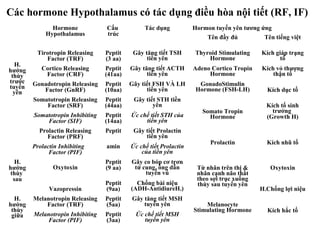 Các hormone Hypothalamus có tác dụng điều hòa nội tiết (RF, IF) 
Hormone 
Hypothalamus 
Cấu 
trúc 
Tác dụng Hormon tuyến yên tương ứng 
Tên đầy đủ Tên tiếng việt 
H. 
hướng 
thùy 
trước 
tuyến 
yên 
Tirotropin Releasing 
Factor (TRF) 
Peptit 
(3 aa) 
Gây tăng tiết TSH 
tiền yên 
Thyroid Stimulating 
Hormone 
Kích giáp trạng 
tố 
Cortico Releasing 
Factor (CRF) 
Peptit 
(41aa) 
Gây tăng tiết ACTH 
tiền yên 
Adeno Cortico Tropin 
Hormone 
Kích vỏ thượng 
thận tố 
Gonadotropin Releasing 
Factor (GnRF) 
Peptit 
(10aa) 
Gây tiết FSH VÀ LH 
tiền yên 
GonadoStimulin 
Hormone (FSH-LH) Kích dục tố 
Somatotropin Releasing 
Factor (SRF) 
Peptit 
(44aa) 
Gây tiết STH tiền 
yên 
Somato Tropin 
Hormone 
Kích tố sinh 
trưởng 
Somatotropin Inhibiting (Growth H) 
Factor (SIF) 
Peptit 
(14aa) 
Ức chế tiết STH của 
tiền yên 
Prolactin Releasing 
Factor (PRF) 
Peptit Gây tiết Prolactin 
tiền yên 
Prolactin Inhibiting Prolactin Kích nhũ tố 
Factor (PIF) 
amin Ức chế tiết Prolactin 
của tiền yên 
H. 
hướng 
thùy 
sau 
Oxytoxin 
Peptit 
(9 aa) 
Gây co bóp cơ trơn 
tử cung, ống dẫn 
tuyến vú 
Từ nhân trên thị & 
nhân cạnh não thất 
theo sợi trục xuống 
thùy sau tuyến yên 
Oxytoxin 
Vazopressin 
Peptit 
(9aa) 
Chống bài niệu 
(ADH-AntidiureH.) H.Chống lợi niệu 
H. 
hướng 
thùy 
giữa 
Melanotropin Releasing 
Factor (TRF) 
Peptit 
(5aa) 
Gây tăng tiết MSH 
tuyến yên Melanocyte 
Stimulating Hormone Kích hắc tố Melanotropin Inhibiting 
Factor (PIF) 
Peptit 
(3aa) 
Ức chế tiết MSH 
tuyến yên 
 