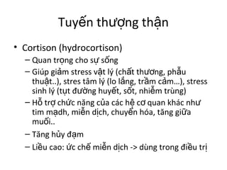 Tuyến thượng thận 
• Cortison (hydrocortison) 
– Quan trọng cho sự sống 
– Giúp giảm stress vật lý (chất thương, phẫu 
thuật..), stres tâm lý (lo lắng, trầm cảm…), stress 
sinh lý (tụt đường huyết, sốt, nhiễm trùng) 
– Hỗ trợ chức năng của các hệ cơ quan khác như 
tim mạdh, miễn dịch, chuyển hóa, tăng giữa 
muối.. 
– Tăng hủy đạm 
– Liều cao: ức chế miễn dịch -> dùng trong điều trị 
 