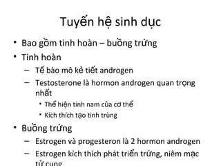 Tuyến hệ sinh dục 
• Bao gồm tinh hoàn – buồng trứng 
• Tinh hoàn 
– Tế bào mô kẻ tiết androgen 
– Testosterone là hormon androgen quan trọng 
nhất 
• Thể hiện tính nam của cơ thể 
• Kích thích tạo tinh trùng 
• Buồng trứng 
– Estrogen và progesteron là 2 hormon androgen 
– Estrogen kích thích phát triển trứng, niêm mạc 
tử cung 
 