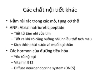 Các chất nội tiết khác 
• Nằm rải rác trong các mô, tạng cơ thể 
• ANP: Atrial natriuretic peptide 
– Tiết từ tâm nhĩ của tim 
– Tiết ra khi có căng buồng nhĩ, nhiều thể tích máu 
– Kích thích thải nước và muối tại thận 
• Các hormon của đường tiêu hóa 
– Yếu tố nội tại 
– Vitamin B12 
– Diffuse neuroendocrine system (DNES) 
 