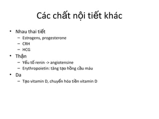 Các chất nội tiết khác 
• Nhau thai tiết 
– Estrogens, progesterone 
– CRH 
– HCG 
• Thận 
– Yếu tố renin -> angiotensine 
– Erythropoietin: tăng tạo hồng cầu máu 
• Da 
– Tạo vitamin D, chuyển hóa tiền vitamin D 
 