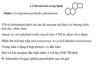 2.3.Steroid (tan trong lipid) 
Nhân: Cyclopentan-perhydro phenantren 
-T/h từ cholesterol dưới xúc tác hệ enzyme nội bào (vỏ thượng thận, 
sinh dục, nhau thai) 
-Ngoài ra còn calcitriol (chất chuyển hóa VTM D3 được t/h ở thận) 
-Phần lớn h/đ trực tiếp (trừ testosteron  s.p h/đ dihydro-testosteron) 
-Trong máu ở dạng k/hợp protein v/c đặc hiệu 
-Khi t/d k/h receptor đặc hiệu nhân  t/d lên AND TB đích 
 Adrenalin t/d ngay (phút),steroid phải sau vài giờ. 
 