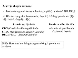 3.Sự vận chuyển hormone 
-H.hòa tan trong nước (catecholamine, peptide): tự do (trừ GH, IGF1) 
-H.Hòa tan trong chất béo (steroid, thyroid): kết hợp protein v/c (đặc 
hiệu hoặc không đặc hiệu) 
Protein v/c đặc hiệu Protein v/c không đặc hiệu 
CBG (Cortisol – Binding Globulin 
SHBG (Sex Hormone Binding Globulin) 
DBG (VTMD - Binding Globulin) 
Albumin và prealbumin 
v/c steroid, thyroid 
Nhiều Hormone lưu thông trong máu bằng 1 protein v/c 
đặc hiệu 
 