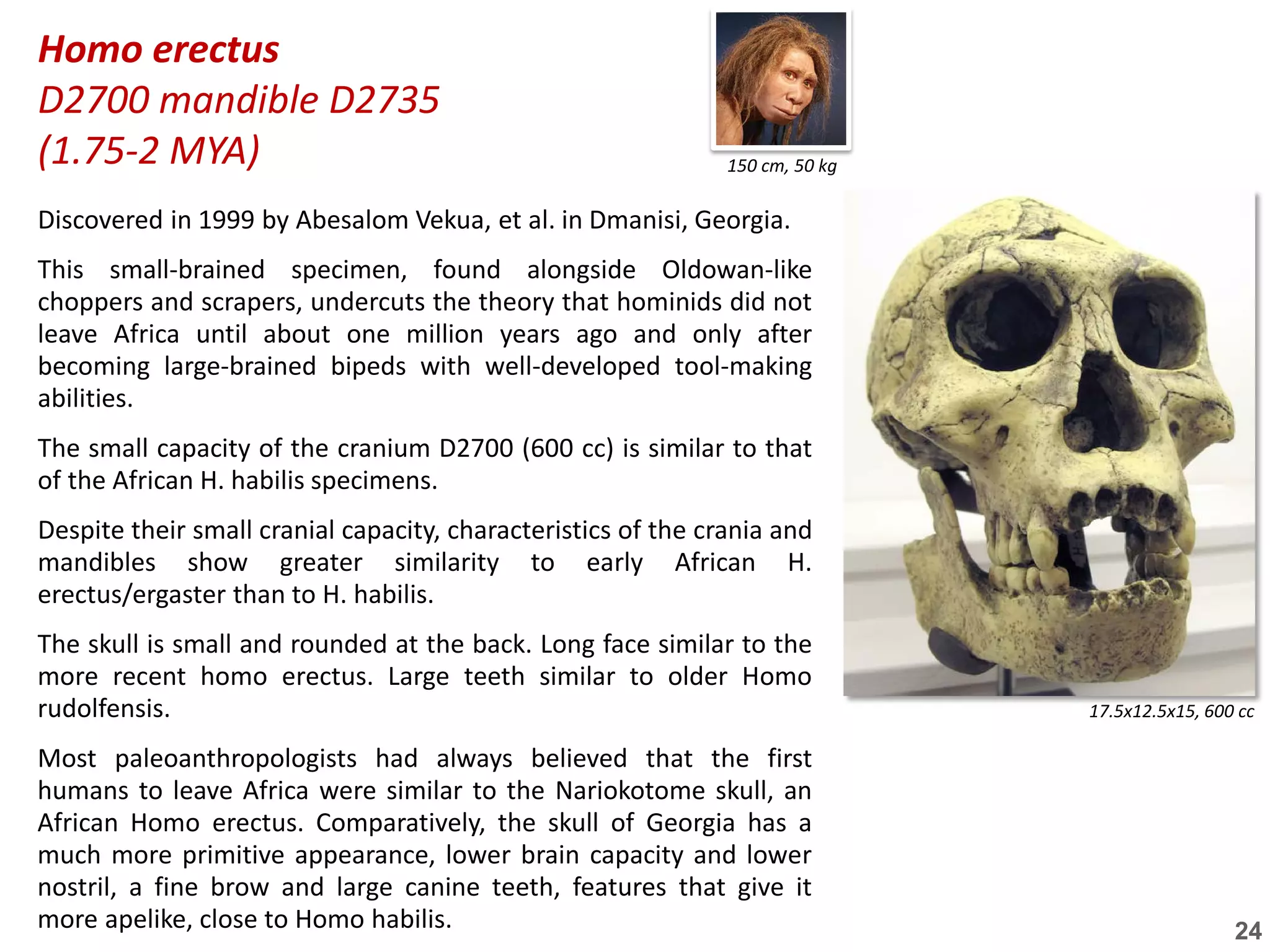 Human Evolution - a notebook | PDF