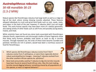 Human Evolution - a notebook | PDF