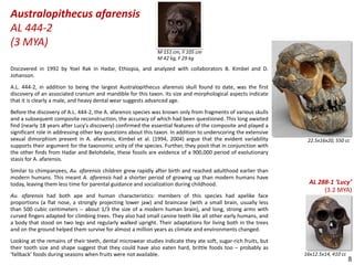 Human Evolution - a notebook | PDF