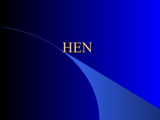 HENHEN
 