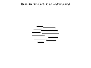 Unser Gehirn sieht Linien wo keine sind
 