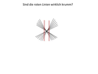 Sind die roten Linien wirklich krumm?
 