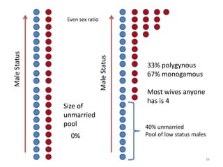 Polygynous marriageMonogamous marriageMarried low status males shift into long-term investment mode. Married high status males impeded from investing in seeking additional long-term mates.Both now motivated to focus on current wife and her offspring. Invest and maximize quality of offspring.Monogamous familiesMaximizes genetic relatednessIncreases paternity certainty, which reduce domestic violence.Married men reduce investment in current wife and offspringRemain on mating market: married men continue to seek additional wivesFocus energies, attention & resources on obtaining additional wives.Polygynous familiesCreate families loaded with non-relatives (step moms), which increase potential for abuse and violenceDecrease paternity certainty32