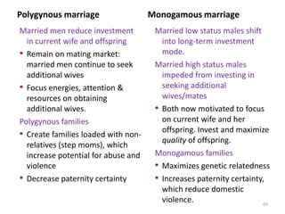 FLDS age gaps of 16 years are not uncommon63Henrich, Aff #2, page 7-8