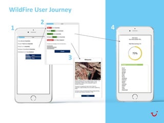 2
WildFire User Journey
1
2
3
4