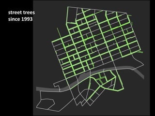 street trees
since 1993
 