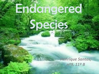Endangered Species Henrique Santos; nº9, 11º B 