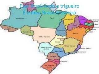 Esse Brasil lindo e trigueiro
É o meu Brasil brasileiro

 