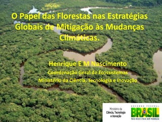 O Papel das Florestas nas Estratégias
 Globais de Mitigação às Mudanças
             Climáticas.

           Henrique E M Nascimento
          Coordenação Geral de Ecossistemas
       Ministério da Ciência, Tecnologia e Inovação
 
