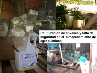 Reutilización de envases y falta de seguridad en el almacenamiento de agroquímicos  