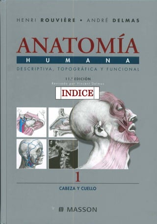 Henri rouvière   anatomía humana - 11va edición - tomo i