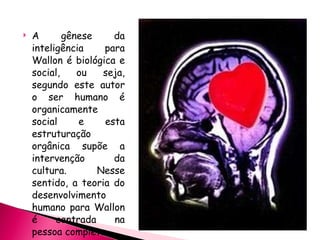 A gênese da inteligência para Wallon é biológica e social, ou seja, segundo este autor o ser humano é organicamente social e esta estruturação orgânica supõe a intervenção da cultura. Nesse sentido, a teoria do desenvolvimento humano para Wallon é centrada na pessoa completa. 