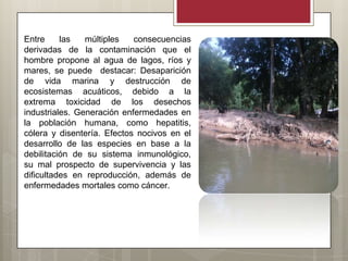 Entre     las   múltiples   consecuencias
derivadas de la contaminación que el
hombre propone al agua de lagos, ríos y
mares, se puede destacar: Desaparición
de vida marina y destrucción de
ecosistemas acuáticos, debido a la
extrema toxicidad de los desechos
industriales. Generación enfermedades en
la población humana, como hepatitis,
cólera y disentería. Efectos nocivos en el
desarrollo de las especies en base a la
debilitación de su sistema inmunológico,
su mal prospecto de supervivencia y las
dificultades en reproducción, además de
enfermedades mortales como cáncer.
 