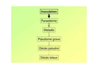 Inoculation


  Parasitémie


   Maladie


Paludisme grave


Décès palustre


 Décès totaux
 