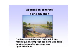 !




&       *
        *


+   R
 