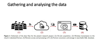 Gathering and analysing the data
 