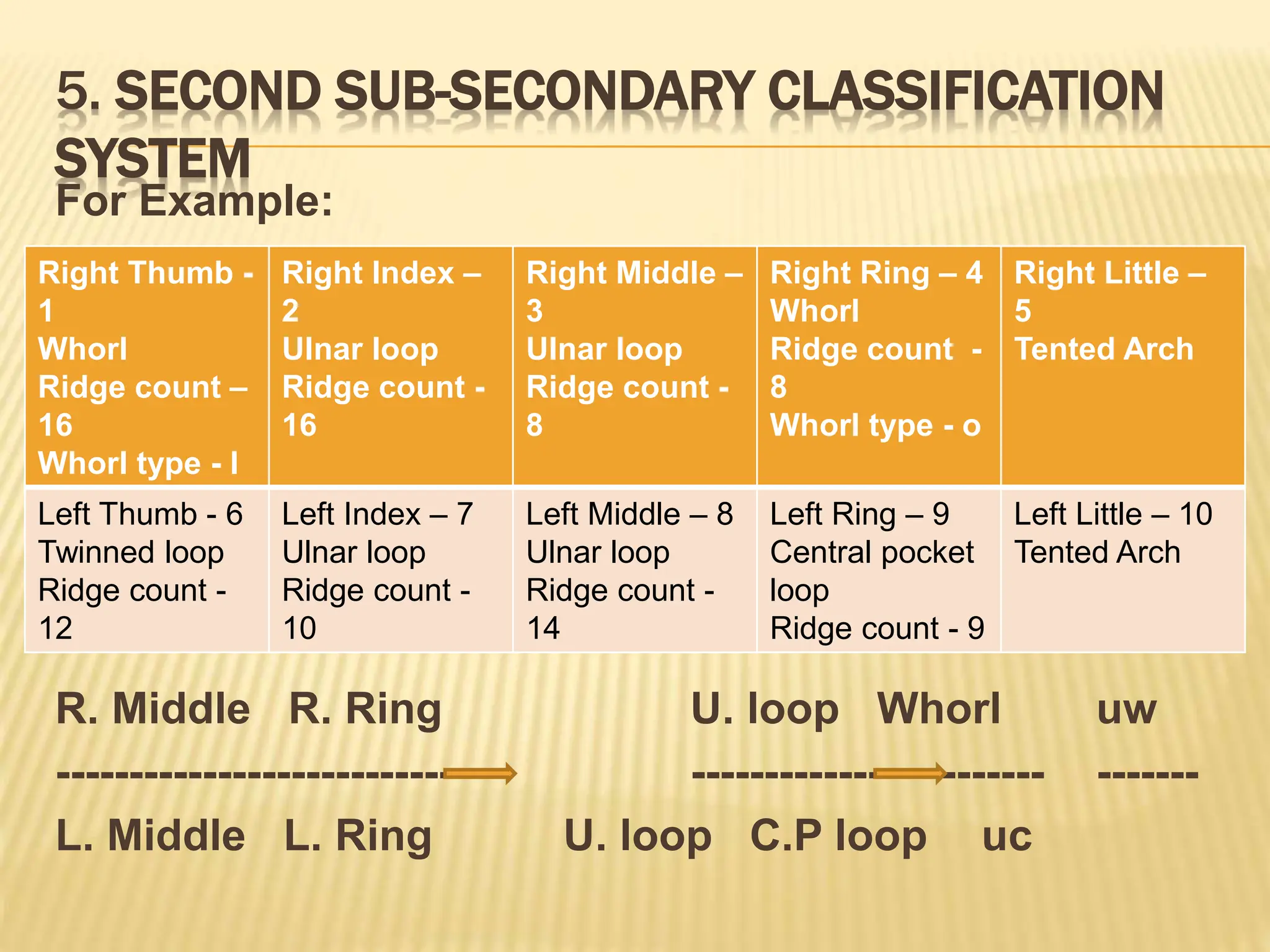 5. SECOND SUB-SECONDARY CLASSIFICATION
SYSTEM
For Example:
R. Middle R. Ring U. loop Whorl uw
----------------------------- ------------------------ -------
L. Middle L. Ring U. loop C.P loop uc
Right Thumb -
1
Whorl
Ridge count –
16
Whorl type - I
Right Index –
2
Ulnar loop
Ridge count -
16
Right Middle –
3
Ulnar loop
Ridge count -
8
Right Ring – 4
Whorl
Ridge count -
8
Whorl type - o
Right Little –
5
Tented Arch
Left Thumb - 6
Twinned loop
Ridge count -
12
Left Index – 7
Ulnar loop
Ridge count -
10
Left Middle – 8
Ulnar loop
Ridge count -
14
Left Ring – 9
Central pocket
loop
Ridge count - 9
Left Little – 10
Tented Arch
 