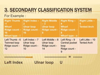 Henry Classification.pptx Seven Division of Henry Formula | PPTX
