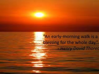 “An early-morning walk is a
blessing for the whole day.”
- Henry David Thorea
 