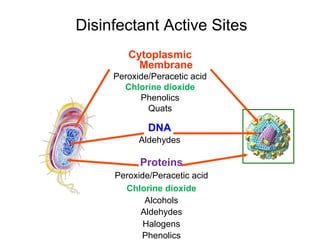 Disinfectant Active Sites
Cytoplasmic
Membrane
Peroxide/Peracetic acid
Chlorine dioxide
Phenolics
Quats
Proteins
Peroxide/Peracetic acid
Chlorine dioxide
Alcohols
Aldehydes
Halogens
Phenolics
DNA
Aldehydes
 