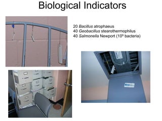 Biological Indicators
20 Bacillus atrophaeus
40 Geobacillus stearothermophilus
40 Salmonella Newport (109 bacteria)
 