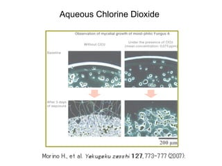 Aqueous Chlorine Dioxide
 
