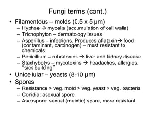 Fungi terms (cont.)
•  Filamentous – molds (0.5 x 5 µm)
–  Hyphae à mycelia (accumulation of cell walls)
–  Trichophyton – dermatology issues
–  Asperillus – infections. Produces aflatoxinà food
(contaminant, carcinogen) – most resistant to
chemicals
–  Penicillium – rubratoxins à liver and kidney disease
–  Stachybotys – mycotoxins à headaches, allergies,
sick building
•  Unicellular – yeasts (8-10 µm)
•  Spores
–  Resistance > veg. mold > veg. yeast > veg. bacteria
–  Conidia: asexual spore
–  Ascospore: sexual (meiotic) spore, more resistant.
 