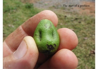 The start of a problem
…
 