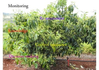 Monitoring
                  Re-assessment
Knowledge

             Control measures
Decision-making
 