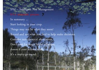 IPM – Intelligent Pest Management
It’s a systematic process.
In summary …
Startsummary in your crop.
  In looking …
Thingslooking be what they seem!
  Start may not
Record wait use what you find to help make decisions.
  Don’t and for magic bullets
Consider non-chemical alternatives.
Don’t wait for magic bullet solutions.
Assess if your actions work.
It’s a merry-go-round.
 