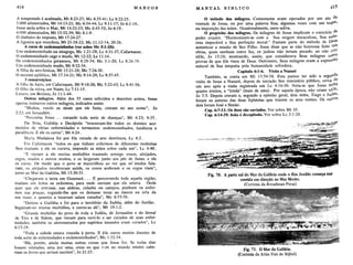 Henry h. halley   manual bíblico