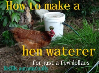 How to make a


       hen waterer
             for just a few dollars
Refills automatically
 