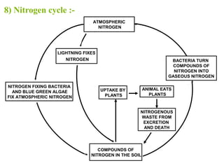 8) Nitrogen cycle :-
ATMOSPHERIC
NITROGEN
LIGHTNING FIXES
NITROGEN
NITROGEN FIXING BACTERIA
AND BLUE GREEN ALGAE
FIX ATMOSPHERIC NITROGEN
COMPOUNDS OF
NITROGEN IN THE SOIL
UPTAKE BY
PLANTS
ANIMAL EATS
PLANTS
NITROGENOUS
WASTE FROM
EXCRETION
AND DEATH
BACTERIA TURN
COMPOUNDS OF
NITROGEN INTO
GASEOUS NITROGEN
 