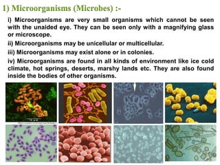 i) Microorganisms are very small organisms which cannot be seen
with the unaided eye. They can be seen only with a magnifying glass
or microscope.
ii) Microorganisms may be unicellular or multicellular.
iii) Microorganisms may exist alone or in colonies.
iv) Microorganisms are found in all kinds of environment like ice cold
climate, hot springs, deserts, marshy lands etc. They are also found
inside the bodies of other organisms.
 
