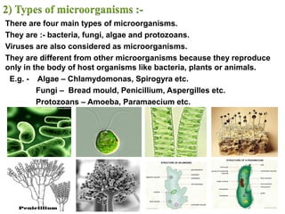 There are four main types of microorganisms.
They are :- bacteria, fungi, algae and protozoans.
Viruses are also considered as microorganisms.
They are different from other microorganisms because they reproduce
only in the body of host organisms like bacteria, plants or animals.
E.g. - Algae – Chlamydomonas, Spirogyra etc.
Fungi – Bread mould, Penicillium, Aspergilles etc.
Protozoans – Amoeba, Paramaecium etc.
 
