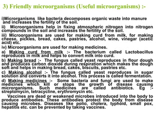 3) Friendly microorganisms (Useful microorganisms) :-
i)Microrganisms like bacteria decomposes organic waste into manure
and increases the fertility of the soil.
ii) Microorganisms help in fixing atmospheric nitrogen into nitrogen
compounds in the soil and increases the fertility of the soil.
iii) Microorganisms are used for making curd from milk, for making
cheese, pickles, bread, cakes, pastries, alcohol, wine, vinegar (acetic
acid) etc.
iv) Microorganisms are used for making medicines.
a) Making curd from milk :- The bacterium called Lactobacillus
reproduces in milk and helps to convert milk into curd.
b) Making bread :- The fungus called yeast reproduces in flour dough
and produces carbon dioxide during respiration which makes the dough
soft and helps in making bread, cakes, biscuits, pastries etc.
c) Making alcohol :- The fungus called yeast reproduces in sugar
solution and converts it into alcohol. This process is called fermentation.
d) Making medicines :- Some bacteria and fungi are used to make
medicines which kill or stops the growth of disease causing
microrganisms. Such medicines are called antibiotics. Eg :-
streptomycin, tetracycline, erythromycin etc.
Vaccines are dead or weakened microbes introduced into the body to
produce antibodies. These antibodies protect the body from disease
causing microbes. Diseases like polio, cholera, typhoid, small pox,
hepatitis etc. can be prevented by taking vaccines.
 