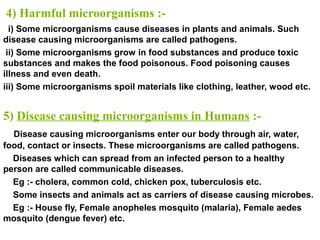 4) Harmful microorganisms :-
i) Some microorganisms cause diseases in plants and animals. Such
disease causing microorganisms are called pathogens.
ii) Some microorganisms grow in food substances and produce toxic
substances and makes the food poisonous. Food poisoning causes
illness and even death.
iii) Some microorganisms spoil materials like clothing, leather, wood etc.
5) Disease causing microorganisms in Humans :-
Disease causing microorganisms enter our body through air, water,
food, contact or insects. These microorganisms are called pathogens.
Diseases which can spread from an infected person to a healthy
person are called communicable diseases.
Eg :- cholera, common cold, chicken pox, tuberculosis etc.
Some insects and animals act as carriers of disease causing microbes.
Eg :- House fly, Female anopheles mosquito (malaria), Female aedes
mosquito (dengue fever) etc.
 