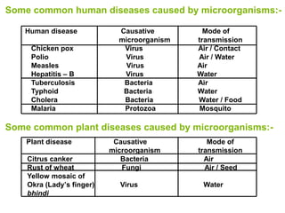 Some common human diseases caused by microorganisms:-
Human disease Causative Mode of
microorganism transmission
Chicken pox Virus Air / Contact
Polio Virus Air / Water
Measles Virus Air
Hepatitis – B Virus Water
Tuberculosis Bacteria Air
Typhoid Bacteria Water
Cholera Bacteria Water / Food
Malaria Protozoa Mosquito
Some common plant diseases caused by microorganisms:-
Plant disease Causative Mode of
microorganism transmission
Citrus canker Bacteria Air
Rust of wheat Fungi Air / Seed
Yellow mosaic of
Okra (Lady’s finger) Virus Water
bhindi
 