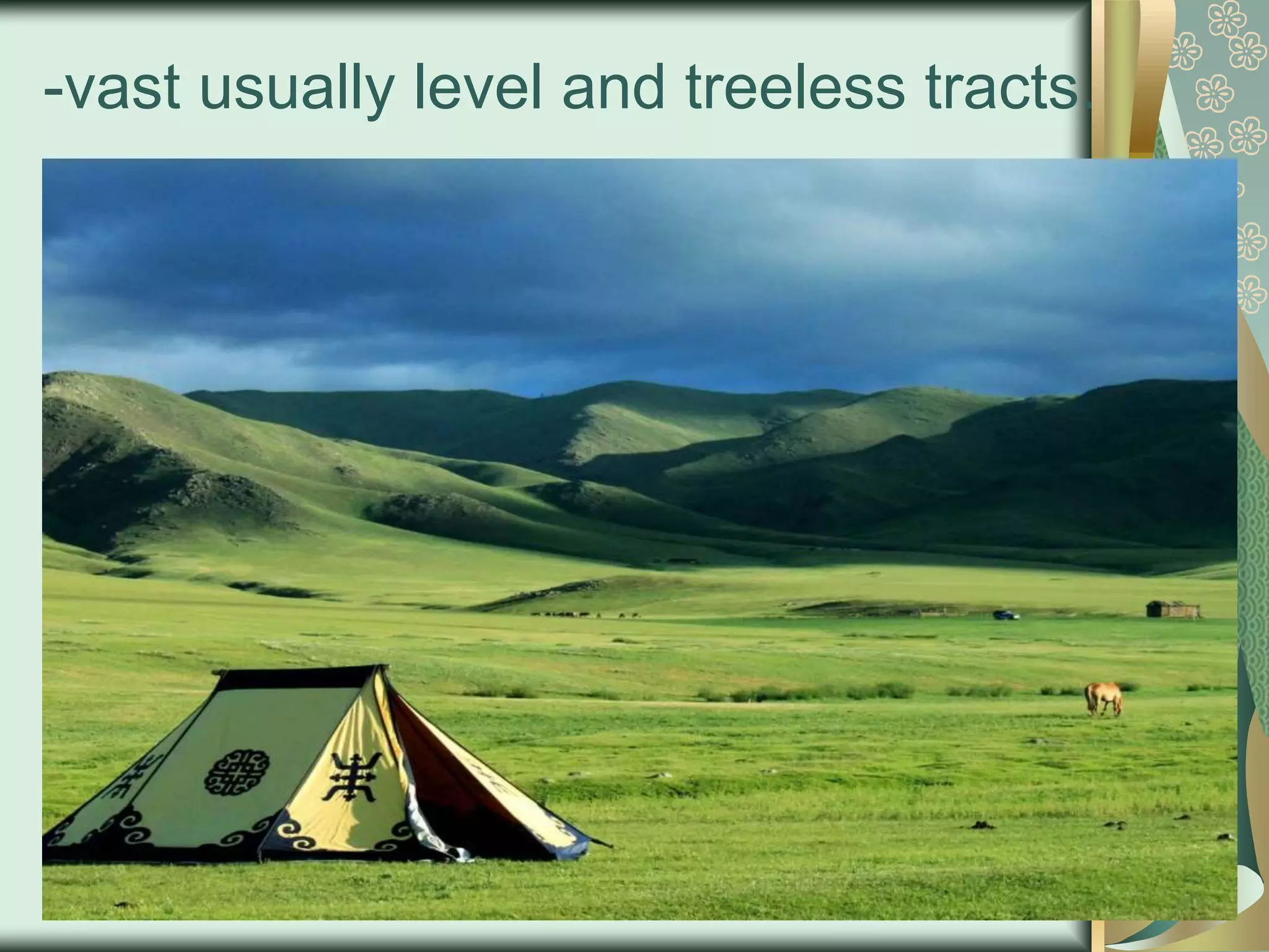 -vast usually level and treeless tracts.
 