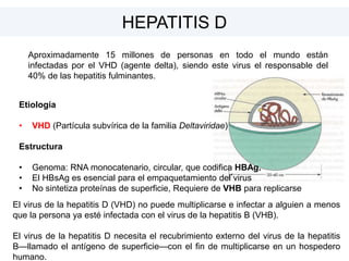 Etiología
• VHD (Partícula subvírica de la familia Deltaviridae)
Estructura
• Genoma: RNA monocatenario, circular, que codifica HBAg.
• El HBsAg es esencial para el empaquetamiento del virus
• No sintetiza proteínas de superficie, Requiere de VHB para replicarse
HEPATITIS D
Aproximadamente 15 millones de personas en todo el mundo están
infectadas por el VHD (agente delta), siendo este virus el responsable del
40% de las hepatitis fulminantes.
El virus de la hepatitis D (VHD) no puede multiplicarse e infectar a alguien a menos
que la persona ya esté infectada con el virus de la hepatitis B (VHB).
El virus de la hepatitis D necesita el recubrimiento externo del virus de la hepatitis
B—llamado el antígeno de superficie—con el fin de multiplicarse en un hospedero
humano.
 