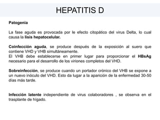 Patogenia
La fase aguda es provocada por le efecto citopático del virus Delta, lo cual
causa la lisis hepatocelular.
Coinfección aguda, se produce después de la exposición al suero que
contiene VHD y VHB simultáneamente.
El VHB debe establecerse en primer lugar para proporcionar el HBsAg
necesario para el desarrollo de los viriones completos del VHD.
Sobreinfección, se produce cuando un portador crónico del VHB se expone a
un nuevo inóculo del VHD. Esto da lugar a la aparición de la enfermedad 30-50
días más tarde.
Infección latente independiente de virus colaboradores , se observa en el
trasplante de hígado.
HEPATITIS D
 